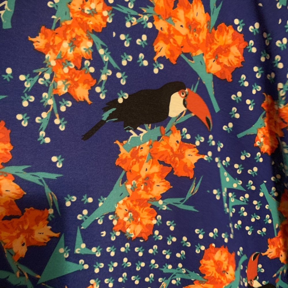 XL Azure Parrot Blue LuLaRoe